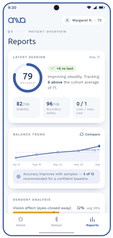 ANVA app — balance report screen