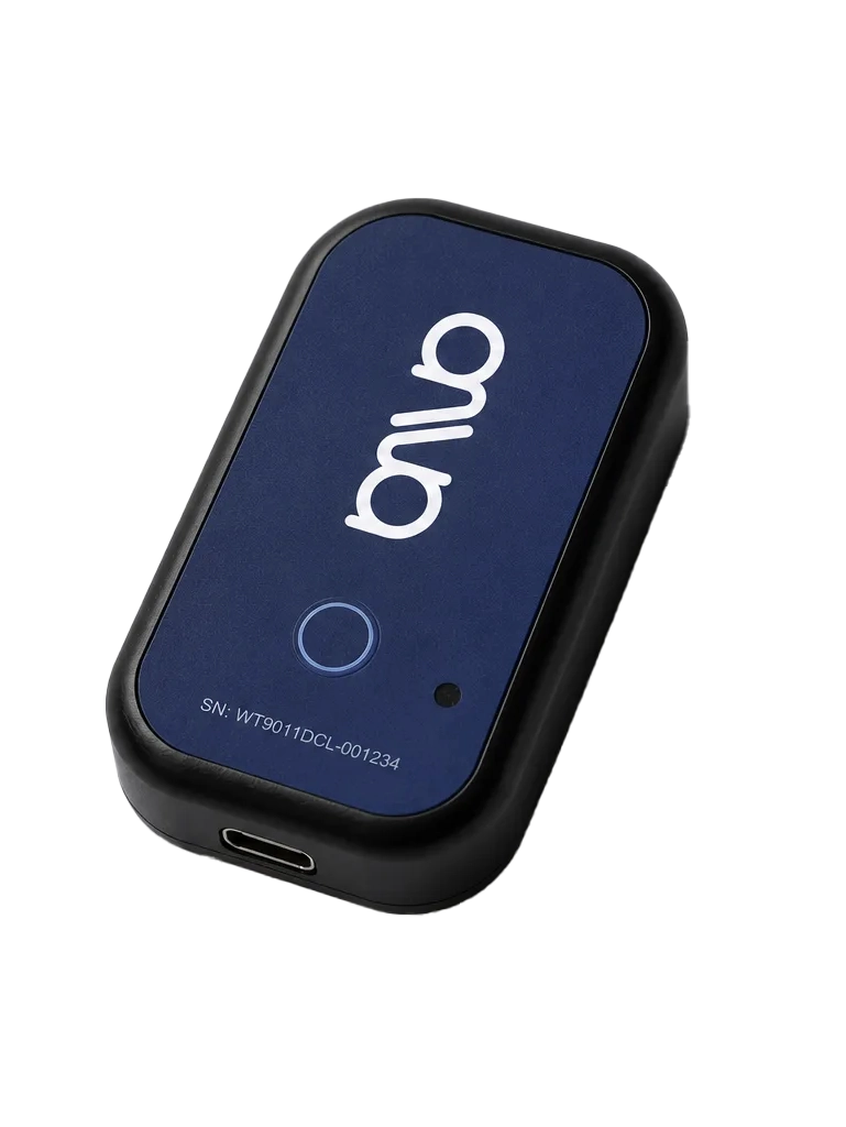 ANVA lumbar sensor