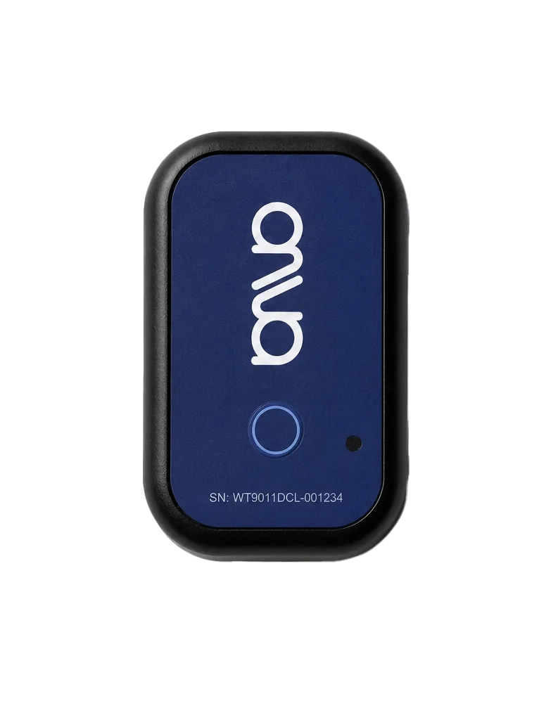 ANVA lumbar sensor — top view